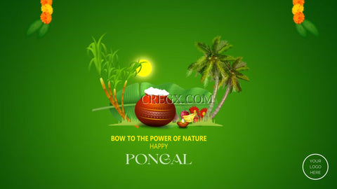 Pongal Video Template
