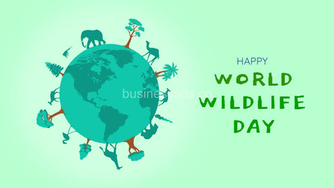 World Wildlife Day Social Video